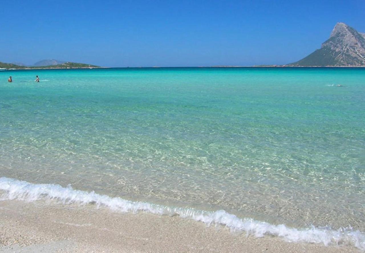 Brezza Di Mare Bed and Breakfast San Teodoro  Εξωτερικό φωτογραφία